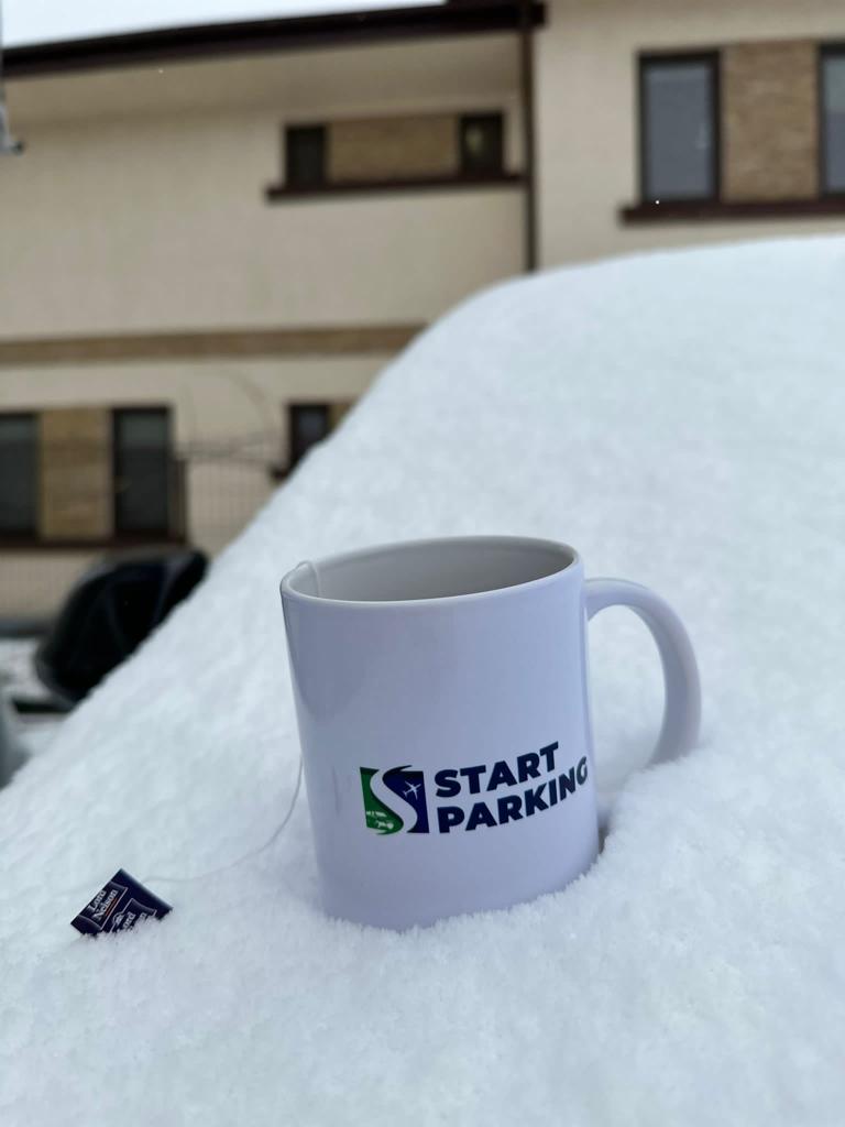 Read more about the article Ce trebuie sa stii cand parchezi pe timp de IARNA